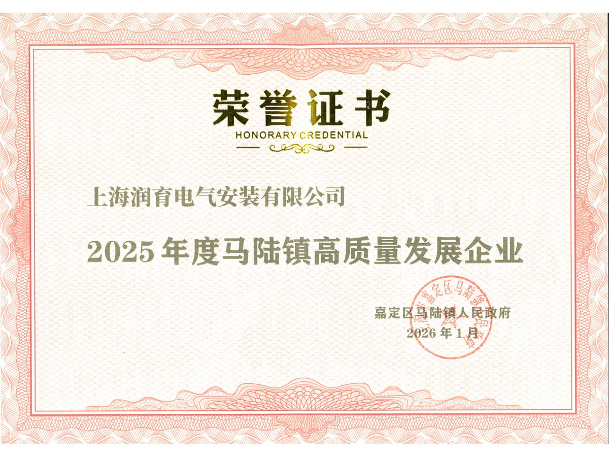 2025年度马陆镇高质量发展企业