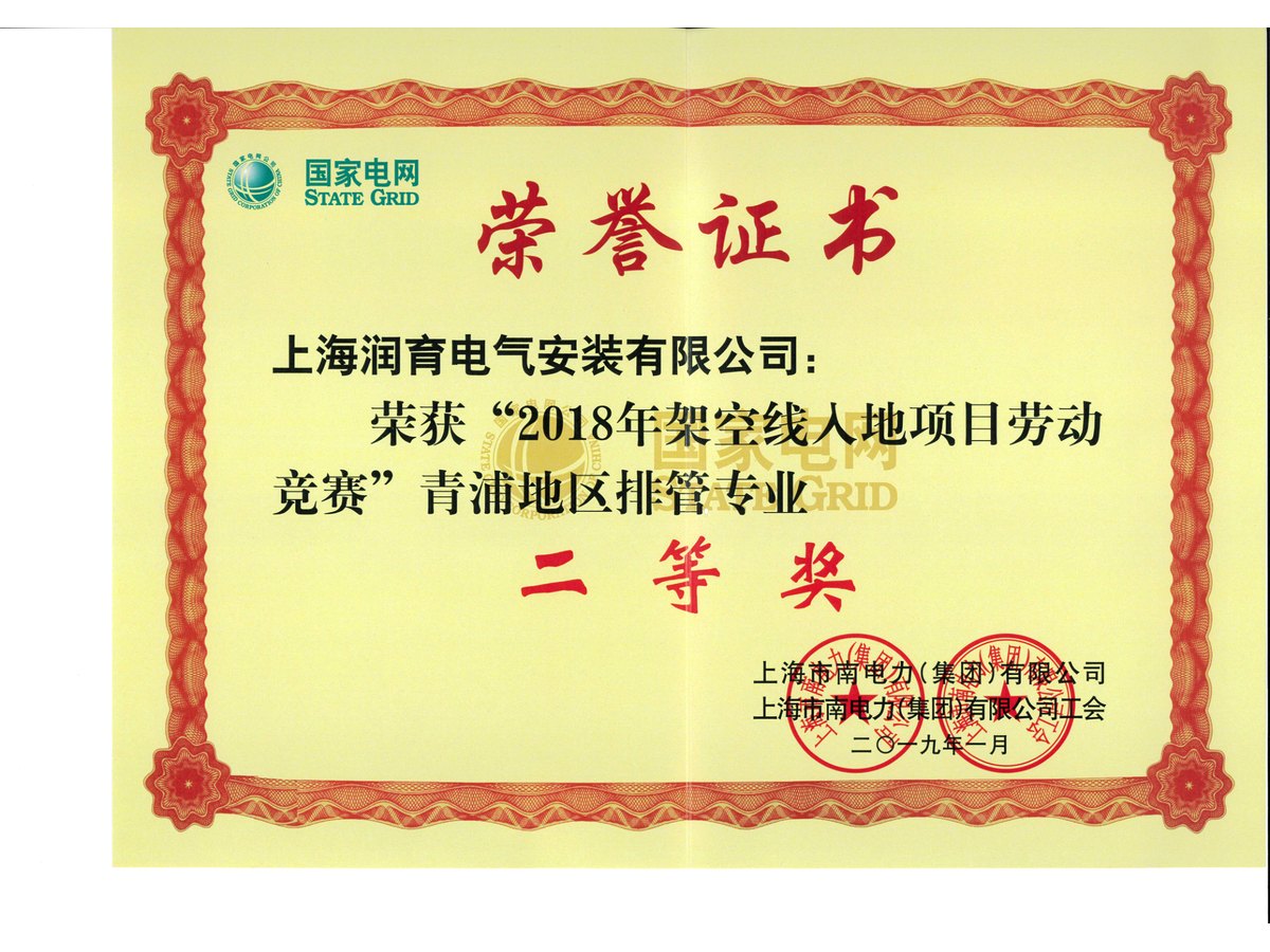 2018年架空线入地项目劳动竞赛·青浦地区排管专业二等奖